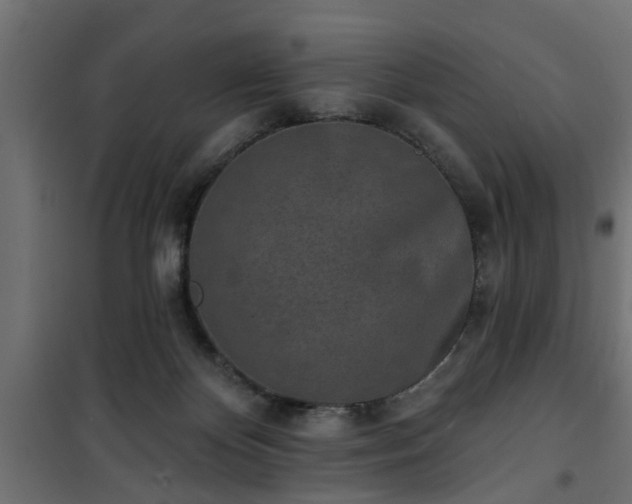 X0000101200124200807071324