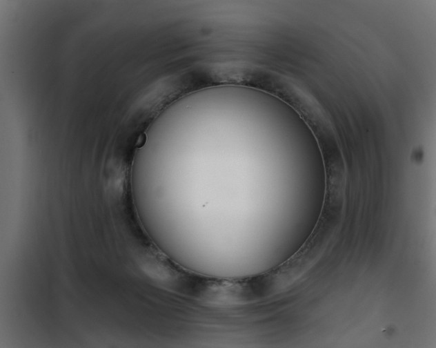 X0000101200125200807071324