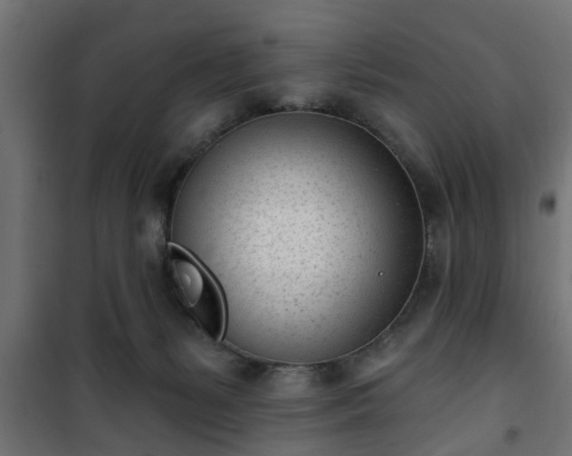 X0000101200127200807071324