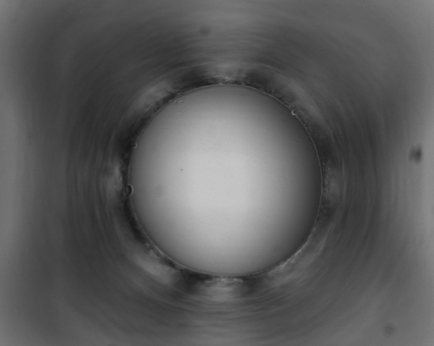 X0000101200128200807071324