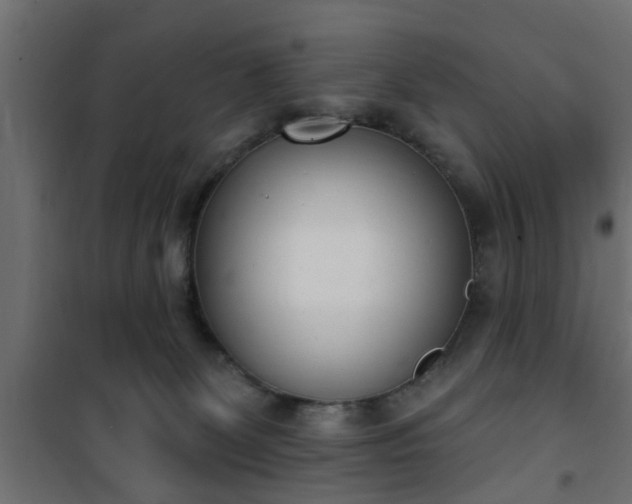 X0000101200131200807071324