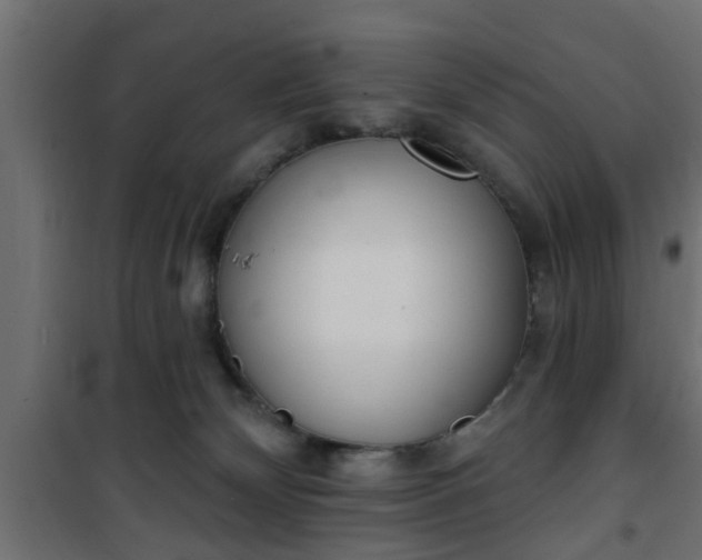 X0000101200132200807071324