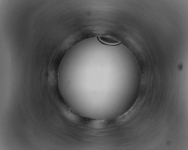 X0000101200136200807071324