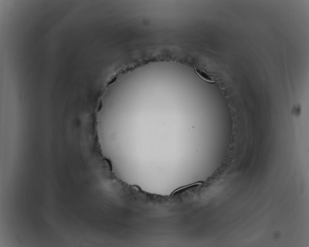 X0000101200144200807071323
