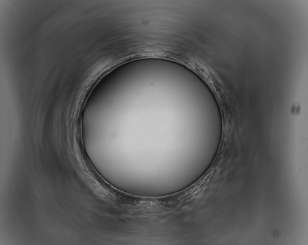 X0000101200145200807071323