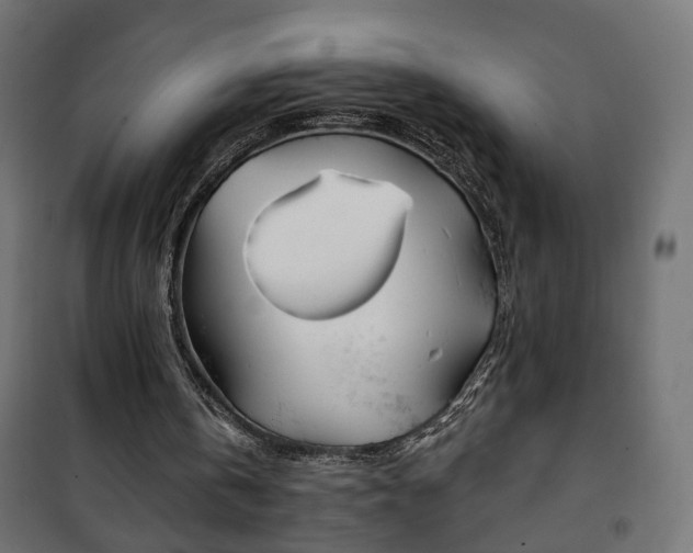 X0000101200146200807071323