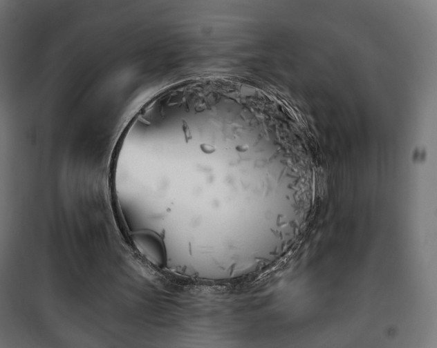 X0000101200147200807071323