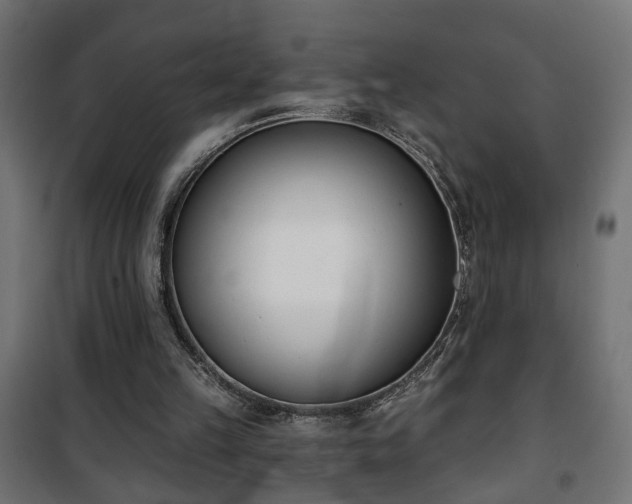 X0000101200149200807071323