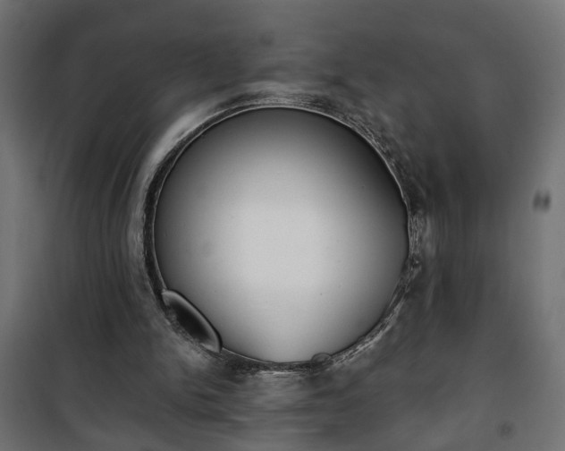 X0000101200150200807071323