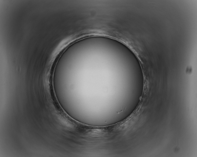 X0000101200151200807071323