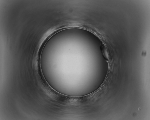 X0000101200152200807071323