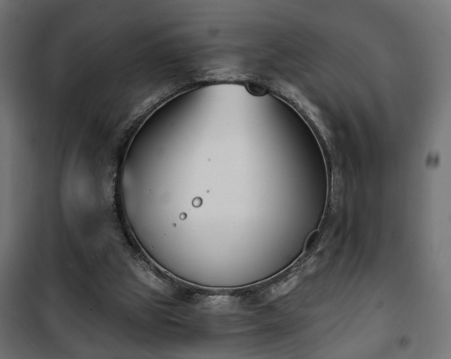 X0000101200153200807071323