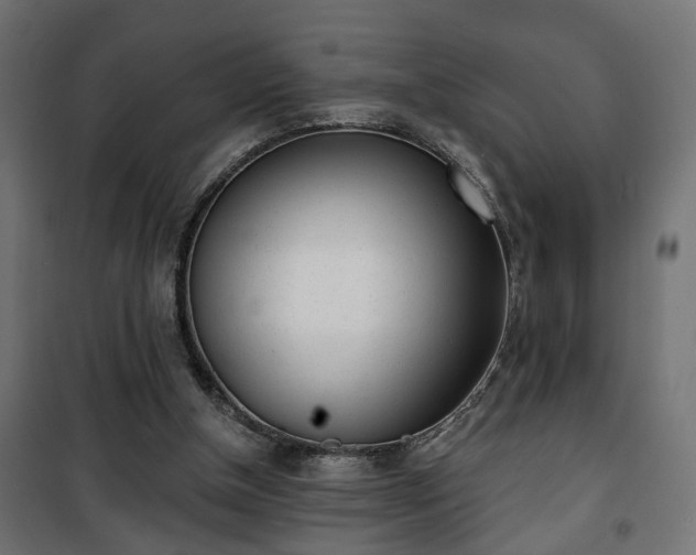 X0000101200154200807071323