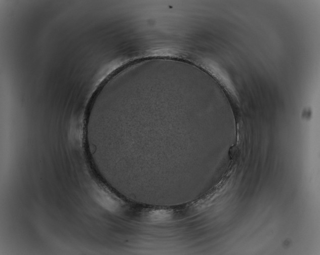 X0000101200156200807071323