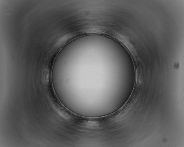 X0000101200157200807071323
