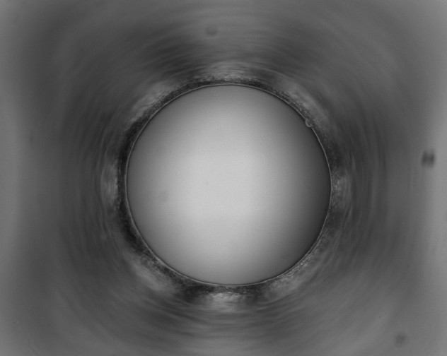X0000101200158200807071323