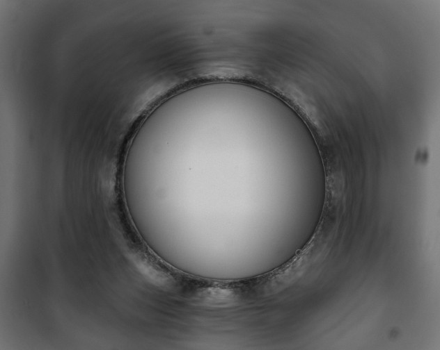 X0000101200159200807071323