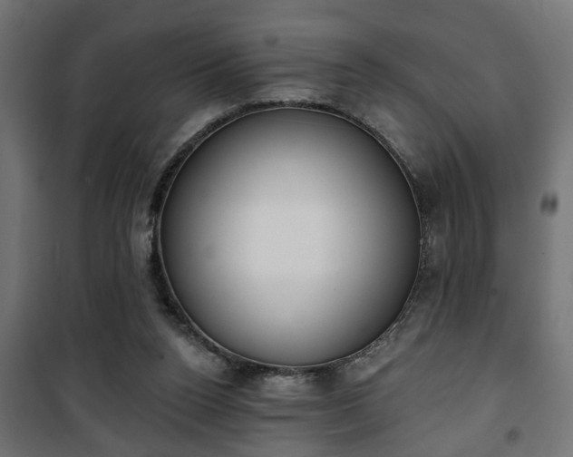 X0000101200160200807071323