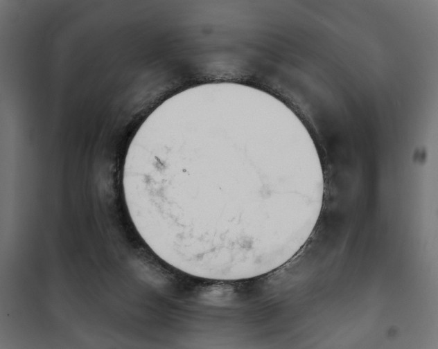 X0000101200162200807071323