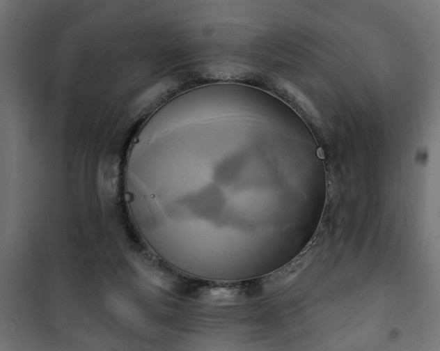 X0000101200163200807071323