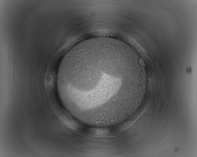 X0000101200165200807071323