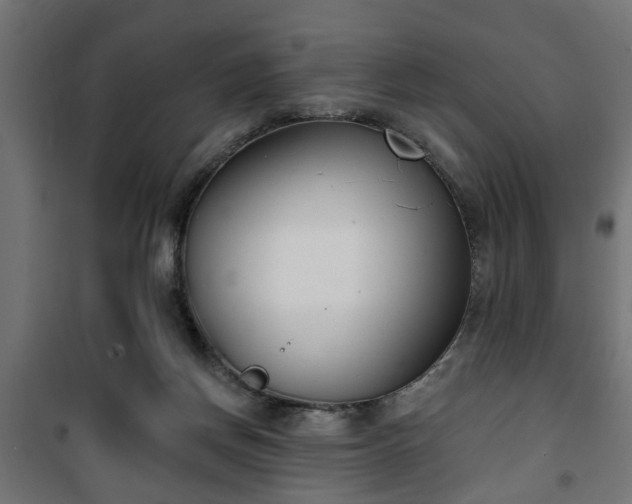 X0000101200166200807071323