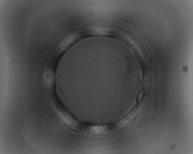 X0000101200168200807071323
