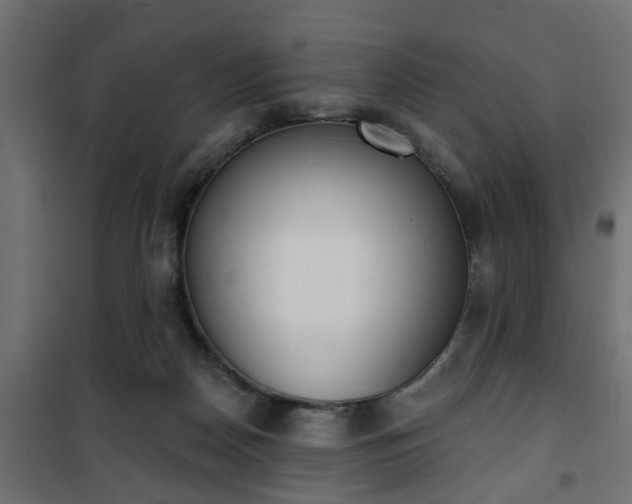 X0000101200170200807071323