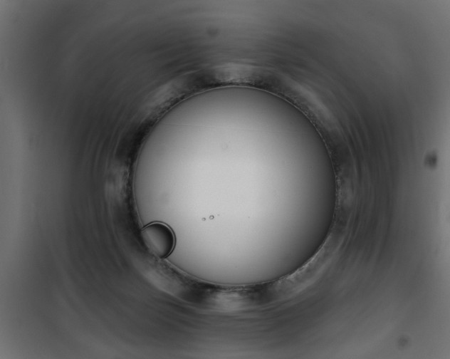 X0000101200171200807071323
