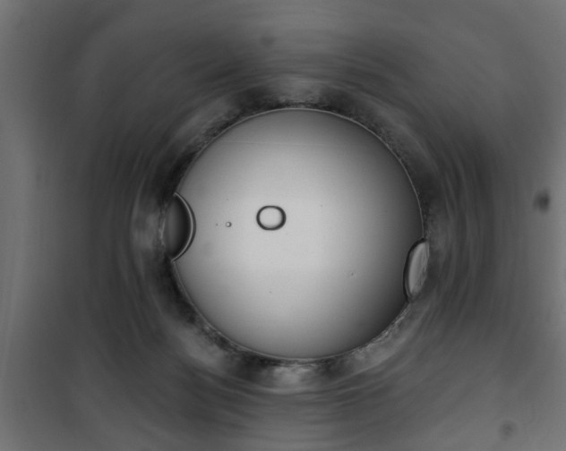 X0000101200172200807071323