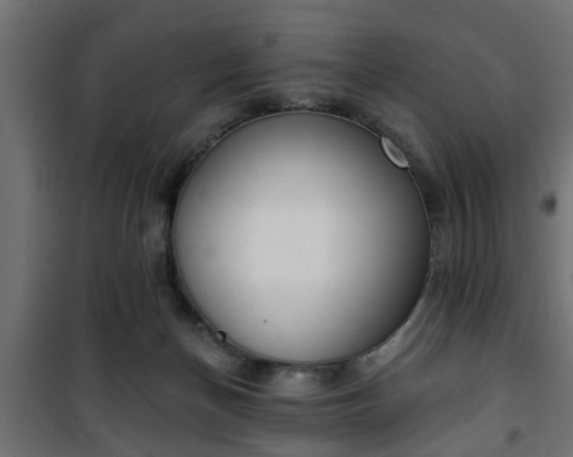 X0000101200174200807071323