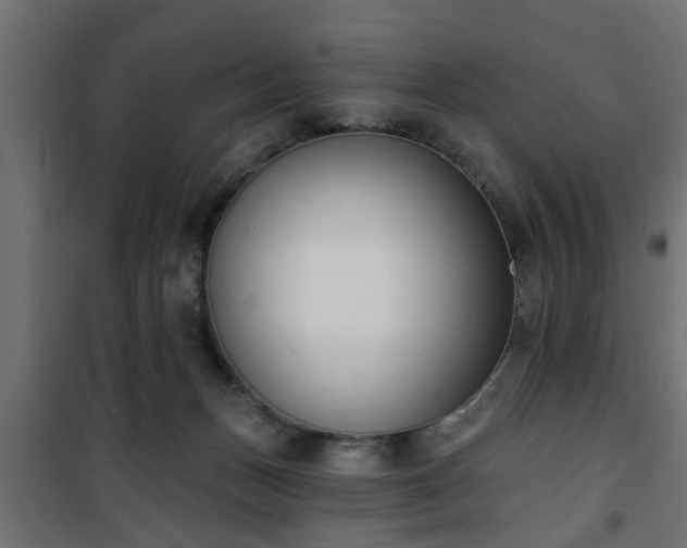 X0000101200175200807071323