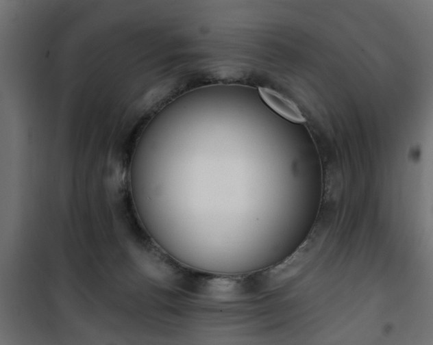 X0000101200176200807071323