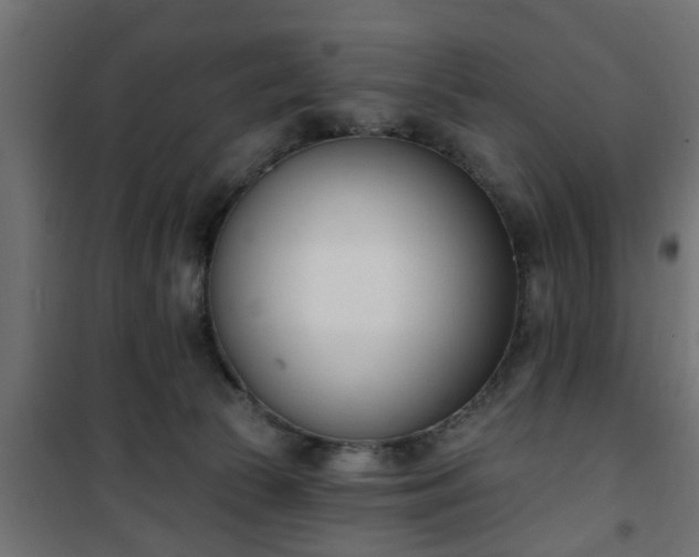 X0000101200177200807071323
