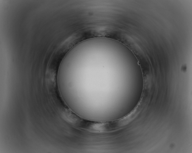 X0000101200178200807071323