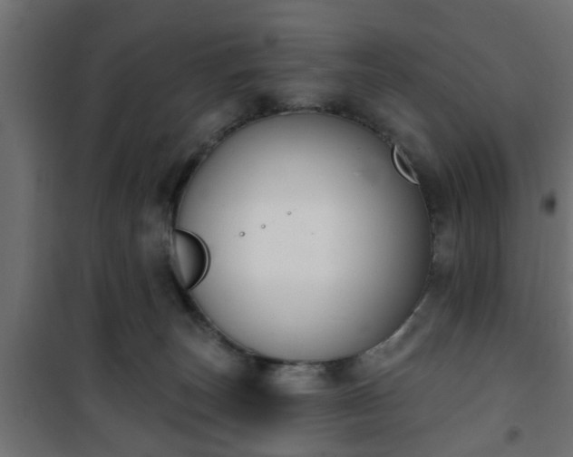 X0000101200179200807071323
