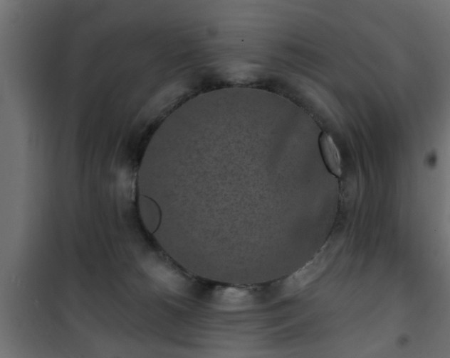 X0000101200180200807071323