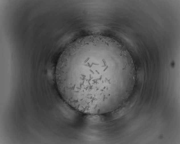 X0000101200181200807071323