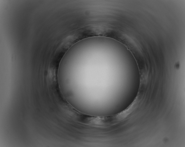 X0000101200182200807071323