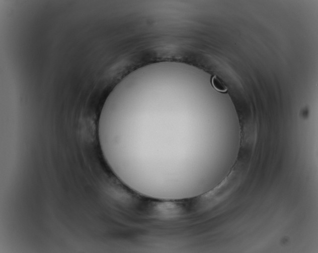 X0000101200183200807071323