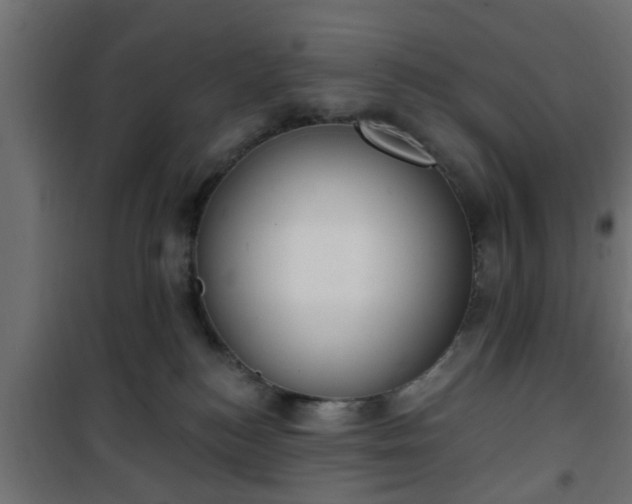 X0000101200184200807071323