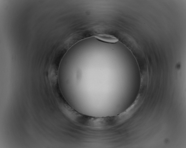 X0000101200186200807071323