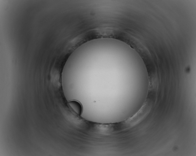 X0000101200187200807071323