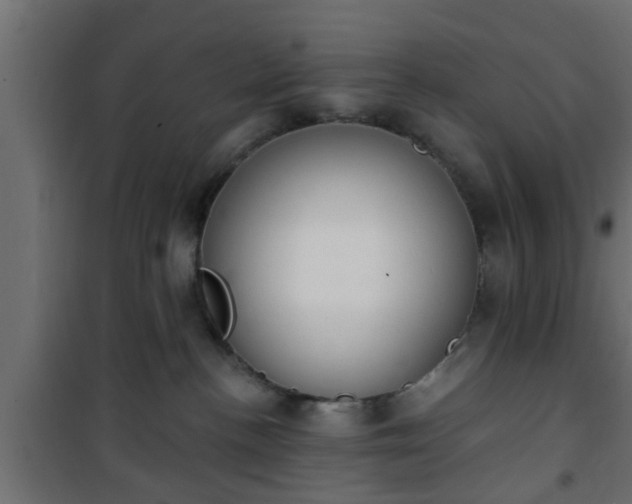 X0000101200188200807071323