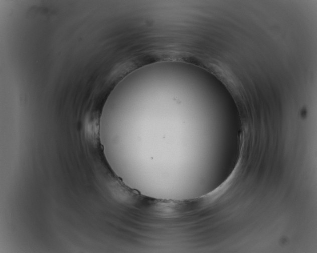 X0000101200190200807071323