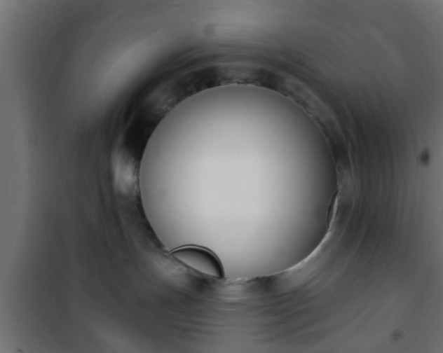 X0000101200191200807071323