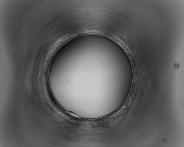 X0000101200193200807071323