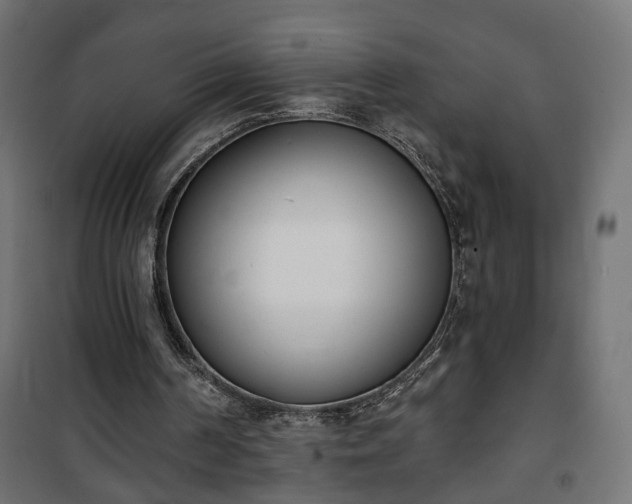 X0000101200194200807071323