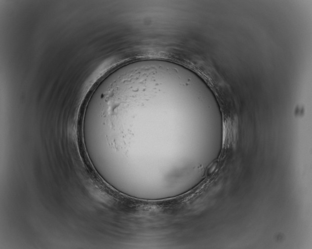X0000101200195200807071323