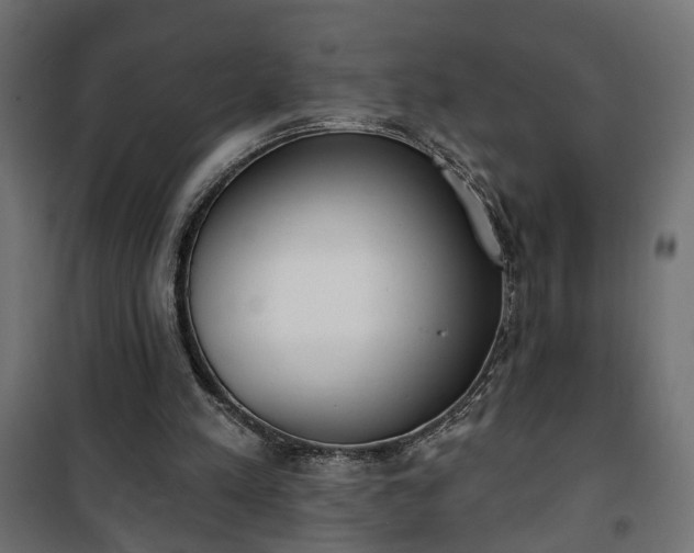 X0000101200197200807071323